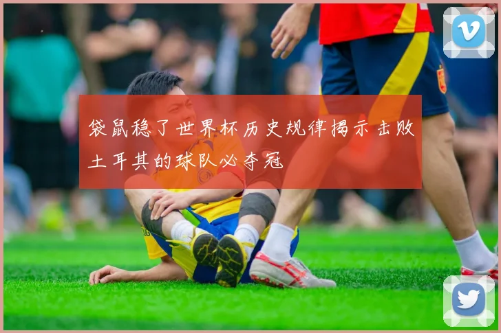 袋鼠稳了世界杯历史规律揭示击败土耳其的球队必夺冠