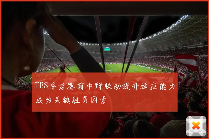 TES季后赛前中野联动提升适应能力成为关键胜负因素