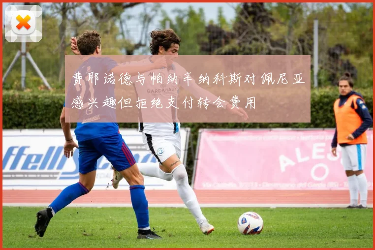 费耶诺德与帕纳辛纳科斯对佩尼亚感兴趣但拒绝支付转会费用